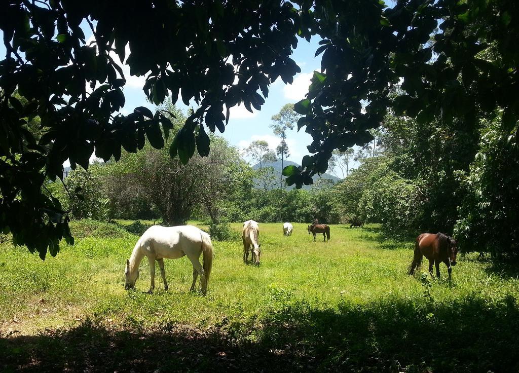 Hotel Eco Sitio Nosso Paraiso Saquarema Buitenkant foto